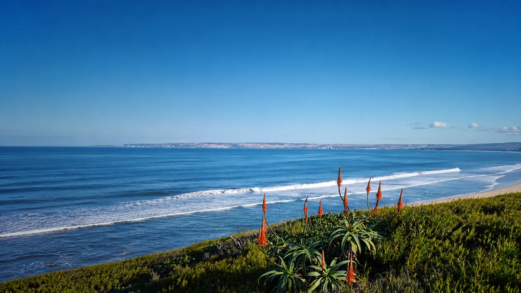 Coastal Garden Route property setting